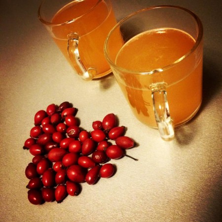 ŠÍPKOVÝ SIRUP
